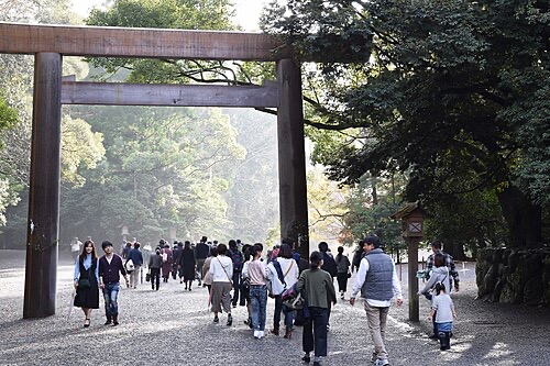 伊勢神宮の鳥居と参道の森